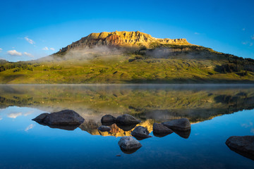 植物堆起来发热的原因