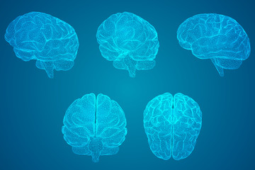 中国各个朝代顺序表