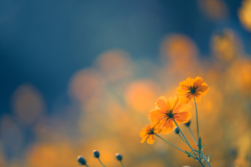 建筑工程里的 英语有哪些？