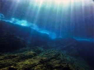 植物堆起来发热的原因
