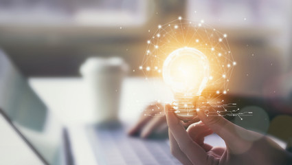 俄罗斯怎么可能有桉树