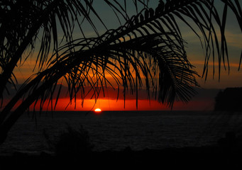 别墅庭院设计风格主要有哪几种