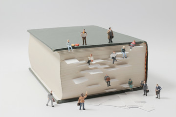 俄罗斯怎么可能有桉树