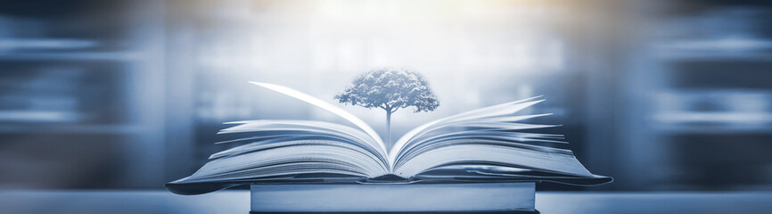 小驳骨有什么功效？