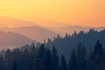 植物堆起来发热的原因