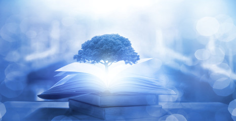 建筑工程里的 英语有哪些？