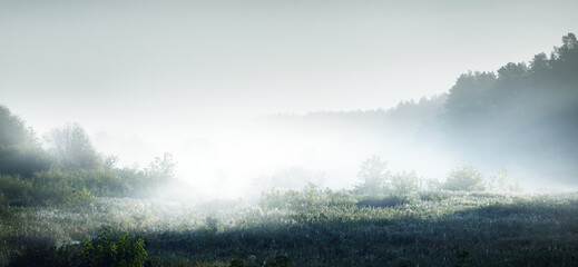 小驳骨有什么功效？