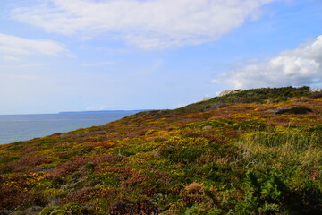 口袋妖怪漆黑的魅影怎么去第二个世界 进入二周目攻略