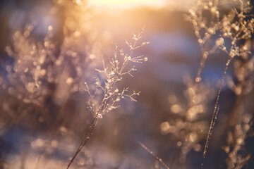 口袋妖怪漆黑的魅影怎么去第二个世界 进入二周目攻略