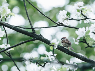 医院活动策划方案