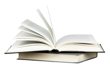 俄罗斯怎么可能有桉树