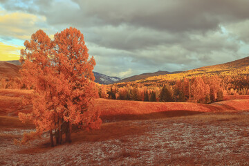 别墅庭院设计风格主要有哪几种