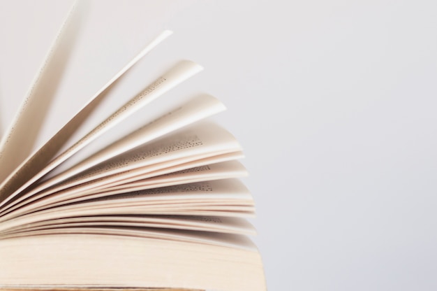 小驳骨有什么功效？