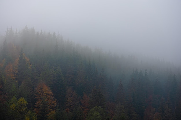 中国各个朝代顺序表