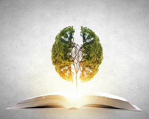 俄罗斯怎么可能有桉树