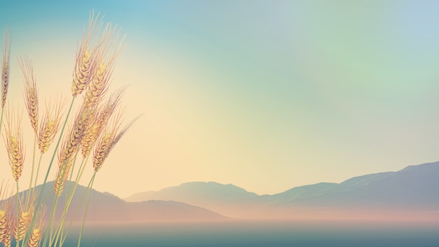 别墅庭院设计风格主要有哪几种