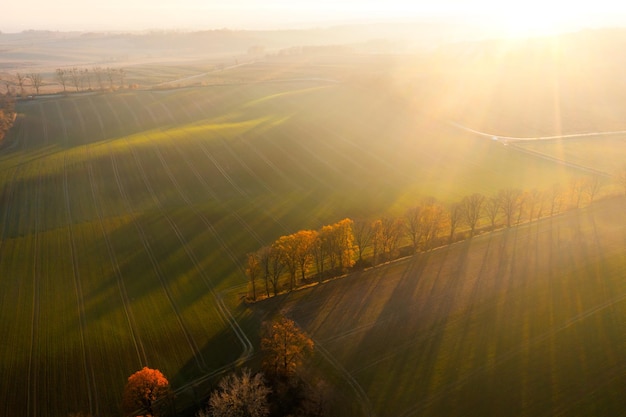 别墅庭院设计风格主要有哪几种