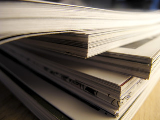 俄罗斯怎么可能有桉树